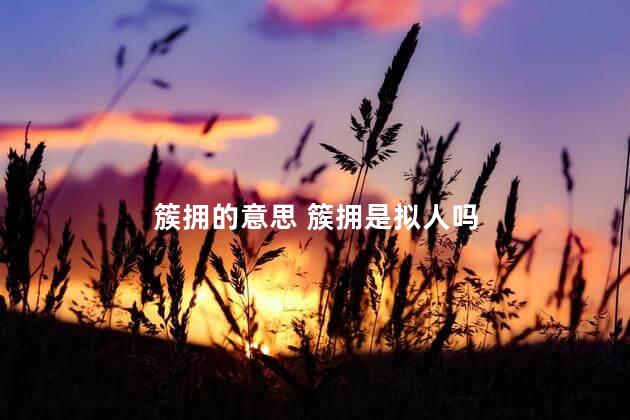 簇拥的意思 簇拥是拟人吗